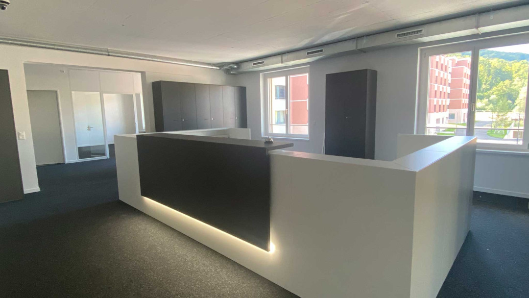 Umzug. ING PLUS. Ziegeleiplatz 2 in Winterthur. Empfang