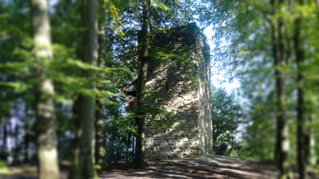 Burgruine Wülflingen. ING PLUS