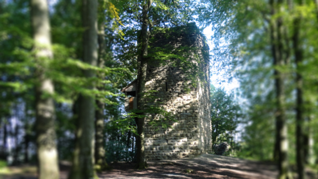 Fotos Burgruine Wülflingen. ING PLUS